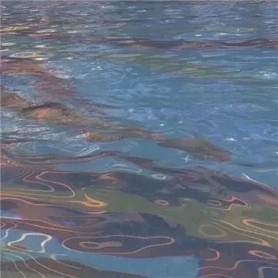“海上厦大”生物地球化学科考团队：踏浪逐波 探秘深蓝