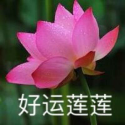J.K.罗琳新作《伊卡狛格》中文版正式上线